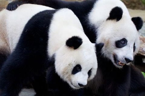 Adelaide City Tour With Optional River Cruise And Adelaide Zoo Admission - Accommodation Sunshine Coast 1