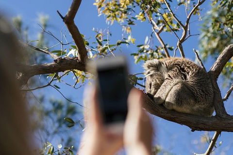 Exceptional Port Lincoln, Seafood And Wildlife Tour - Accommodation Sunshine Coast 0