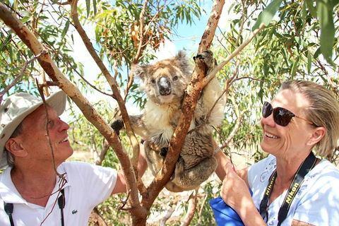 Exceptional Port Lincoln, Seafood And Wildlife Tour - Accommodation Sunshine Coast 6