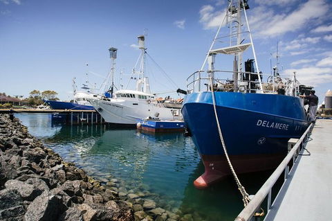 Exceptional Port Lincoln, Seafood And Wildlife Tour - Accommodation Sunshine Coast 8