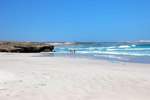 Exceptional Port Lincoln, Seafood And Wildlife Tour - Accommodation Sunshine Coast 4