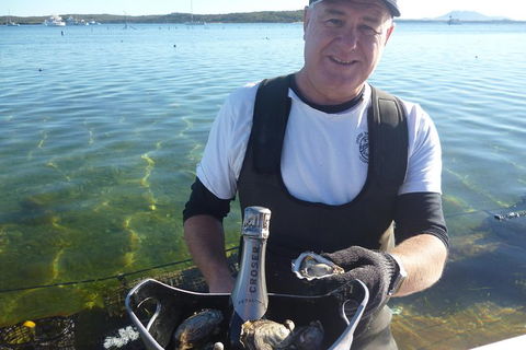Oyster Farm And Tasting Tour With Hotel Pick-up And Return From Port Lincoln - Accommodation Sunshine Coast 0