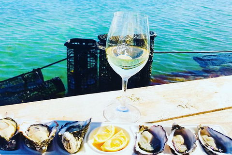 Oyster Farm And Tasting Tour With Hotel Pick-up And Return From Port Lincoln - Accommodation Sunshine Coast 10