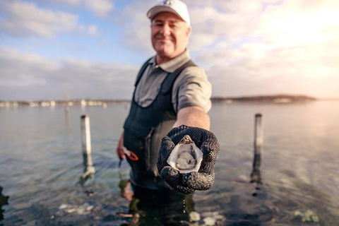 Oyster Farm And Tasting Tour With Hotel Pick-up And Return From Port Lincoln - Accommodation Sunshine Coast 3
