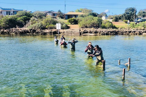 Oyster Farm And Tasting Tour With Hotel Pick-up And Return From Port Lincoln - Accommodation Sunshine Coast 6