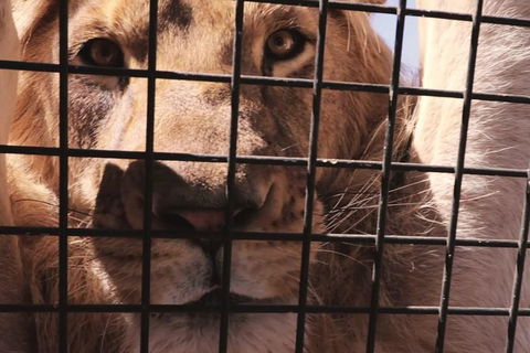 Adelaide Bar Boys Adelaide Hills Experience - Accommodation Sunshine Coast 1