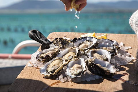 Experience Coffin Bay Short And Sweet Oyster Farm Tour - Accommodation Sunshine Coast 0