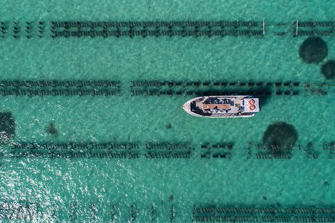 Experience Coffin Bay Short And Sweet Oyster Farm Tour - Accommodation Sunshine Coast 1