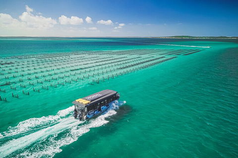 Experience Coffin Bay Short And Sweet Oyster Farm Tour - Accommodation Sunshine Coast 2