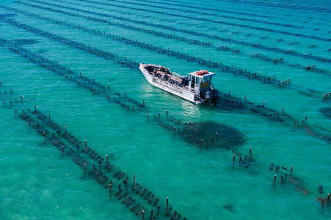 Experience Coffin Bay Short And Sweet Oyster Farm Tour - Accommodation Sunshine Coast 7