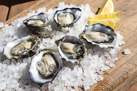 Experience Coffin Bay Short And Sweet Oyster Farm Tour - Accommodation Sunshine Coast 3