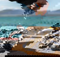 Experience Coffin Bay Oyster Farm and Bay Tour - Accommodation Sunshine Coast