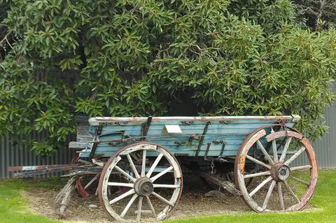 Barossa Valley Wine Tour (4Hour) - Accommodation Sunshine Coast 1