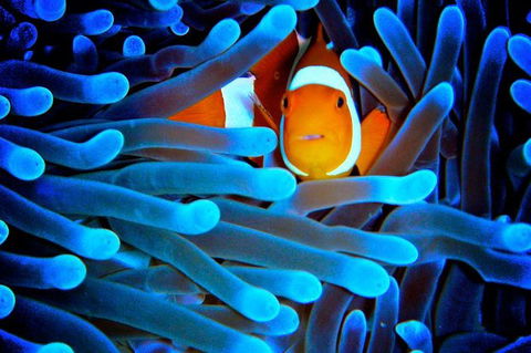 5-Day Best Of Cairns With Daintree, Kuranda, And Great Barrier Reef - Accommodation Sunshine Coast 2