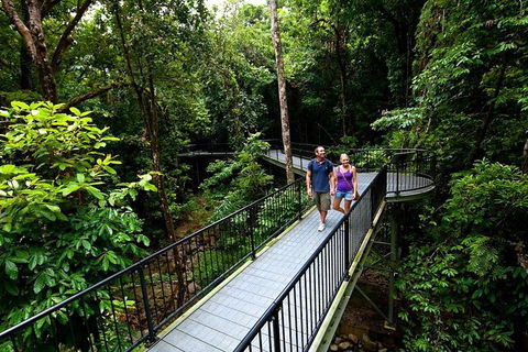 5-Day Best Of Cairns With Daintree, Kuranda, And Great Barrier Reef - Accommodation Sunshine Coast 4
