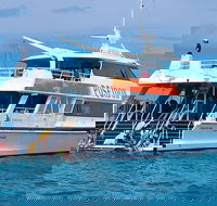 Poseidon Outer Great Barrier Reef Snorkeling and Diving Cruise from Port Douglas - Accommodation Sunshine Coast