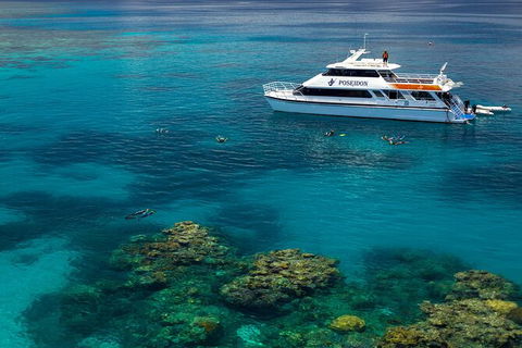 Poseidon Outer Great Barrier Reef Snorkeling And Diving Cruise From Port Douglas - Accommodation Sunshine Coast 2