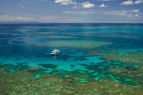 Poseidon Outer Great Barrier Reef Snorkeling And Diving Cruise From Port Douglas - Accommodation Sunshine Coast 5