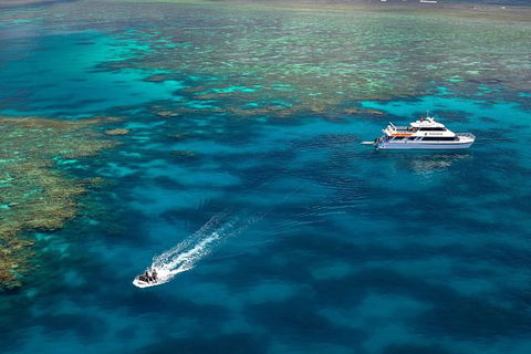 Poseidon Outer Great Barrier Reef Snorkeling And Diving Cruise From Port Douglas - Accommodation Sunshine Coast 9