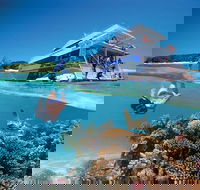 3-Day Southern Great Barrier Reef Tour Including Lady Musgrave Island - Accommodation Sunshine Coast