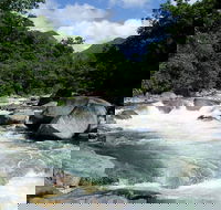 Daintree Rainforest Cape Tribulation Mossman Gorge in a day - Accommodation Sunshine Coast