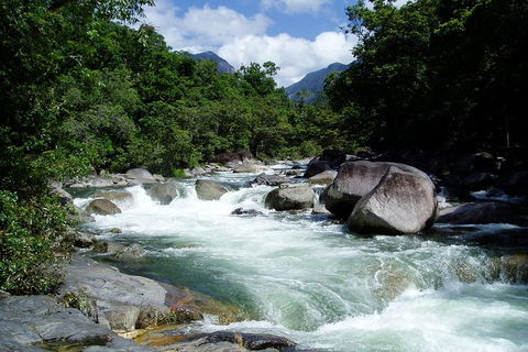 Daintree Rainforest, Cape Tribulation, Mossman Gorge In A Day - Accommodation Sunshine Coast 0