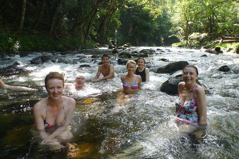 Daintree Rainforest, Cape Tribulation, Mossman Gorge In A Day - Accommodation Sunshine Coast 10