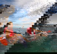 Moreton Island Day Trip Kayak Snorkel  Sandboard frm Brisbane or Gold Coast - Accommodation Sunshine Coast