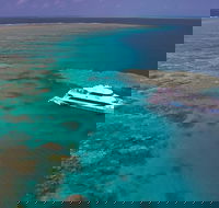 Silversonic Outer Great Barrier Reef Dive and Snorkel Cruise from Port Douglas - Accommodation Sunshine Coast