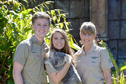 Koala Cuddle Adventure Croc 2 - Accommodation Sunshine Coast 0