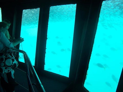 Great Barrier Reef Day Cruise To Reefworld - Accommodation Sunshine Coast 11