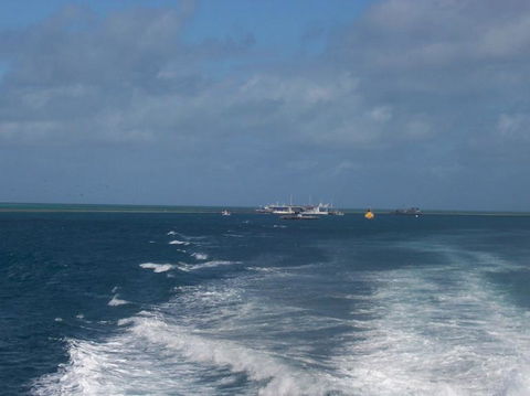Great Barrier Reef Day Cruise To Reefworld - Accommodation Sunshine Coast 22
