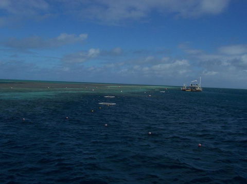 Great Barrier Reef Day Cruise To Reefworld - Accommodation Sunshine Coast 13