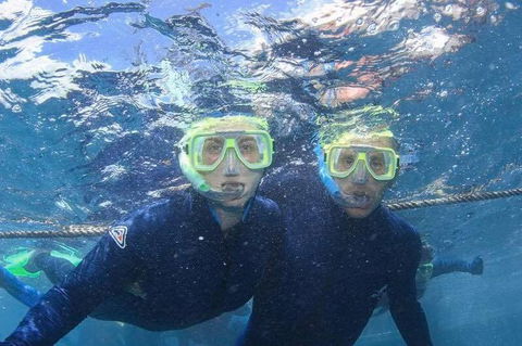 Great Barrier Reef Day Cruise To Reefworld - Accommodation Sunshine Coast 3