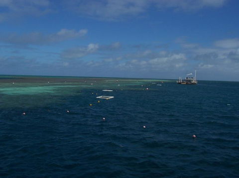 Great Barrier Reef Day Cruise To Reefworld - Accommodation Sunshine Coast 14