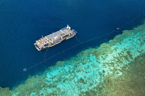Great Barrier Reef Day Cruise To Reefworld - Accommodation Sunshine Coast 24