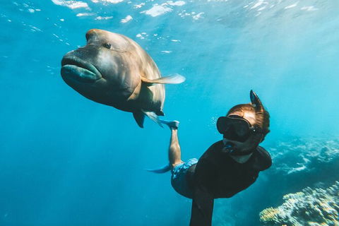 Great Barrier Reef Day Cruise To Reefworld - Accommodation Sunshine Coast 25