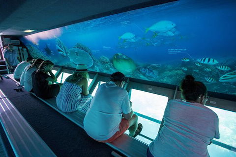 Great Barrier Reef Day Cruise To Reefworld - Accommodation Sunshine Coast 28