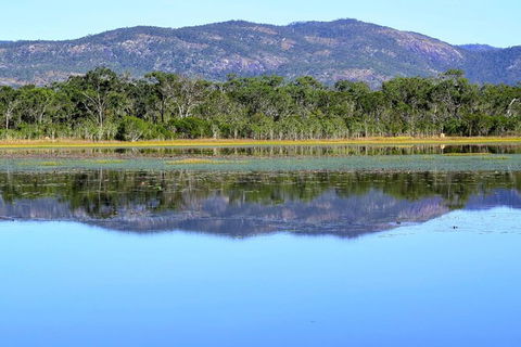 Daintree - Cape Tribulation & Atherton Tablelands Tours From Port Douglas - Accommodation Sunshine Coast 13