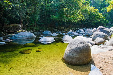 Daintree - Cape Tribulation & Atherton Tablelands Tours From Port Douglas - Accommodation Sunshine Coast 6
