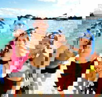 Moreton Island Snorkel and Sandboarding 4WD Day Trip from Brisbane - Accommodation Sunshine Coast