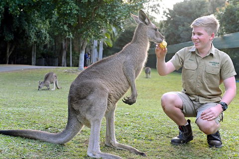 Small-Group Australia Zoo Day Trip From Brisbane - Accommodation Sunshine Coast 6