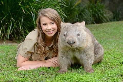 Small-Group Australia Zoo Day Trip From Brisbane - Accommodation Sunshine Coast 5