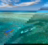 Ocean Safari Great Barrier Reef Experience in Cape Tribulation - Accommodation Sunshine Coast