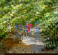 Whitsunday Segway Rainforest Discovery Tour - Accommodation Sunshine Coast