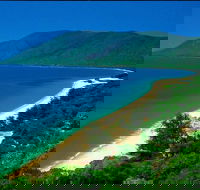 Cairns Reef and Rainforest Combo Daintree Rainforest and the Great Barrier Reef - Accommodation Sunshine Coast