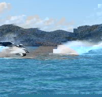 Whitsundays Whale Watching Cruise from Airlie Beach - Accommodation Sunshine Coast