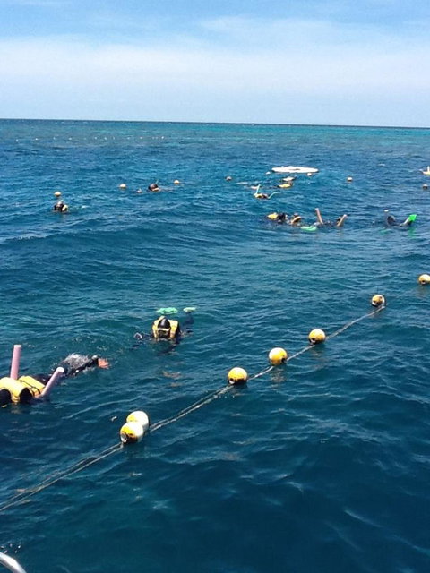 Quicksilver Outer Great Barrier Reef Snorkel Cruise From Port Douglas - Accommodation Sunshine Coast 2