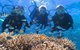 Quicksilver Outer Great Barrier Reef Snorkel Cruise From Port Douglas - thumb 1
