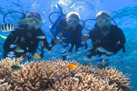 Quicksilver Outer Great Barrier Reef Snorkel Cruise From Port Douglas - Accommodation Sunshine Coast 1